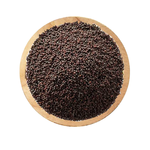 Black Mustard